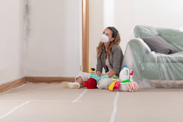 Reliable Mold Cleanup contractor in Woodward, PA by Cheap Mold Removal