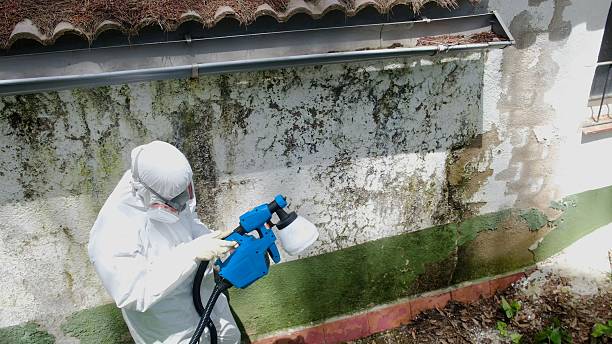 Trusted Mold Testing service in Woodward, PA - Cheap Mold Removal